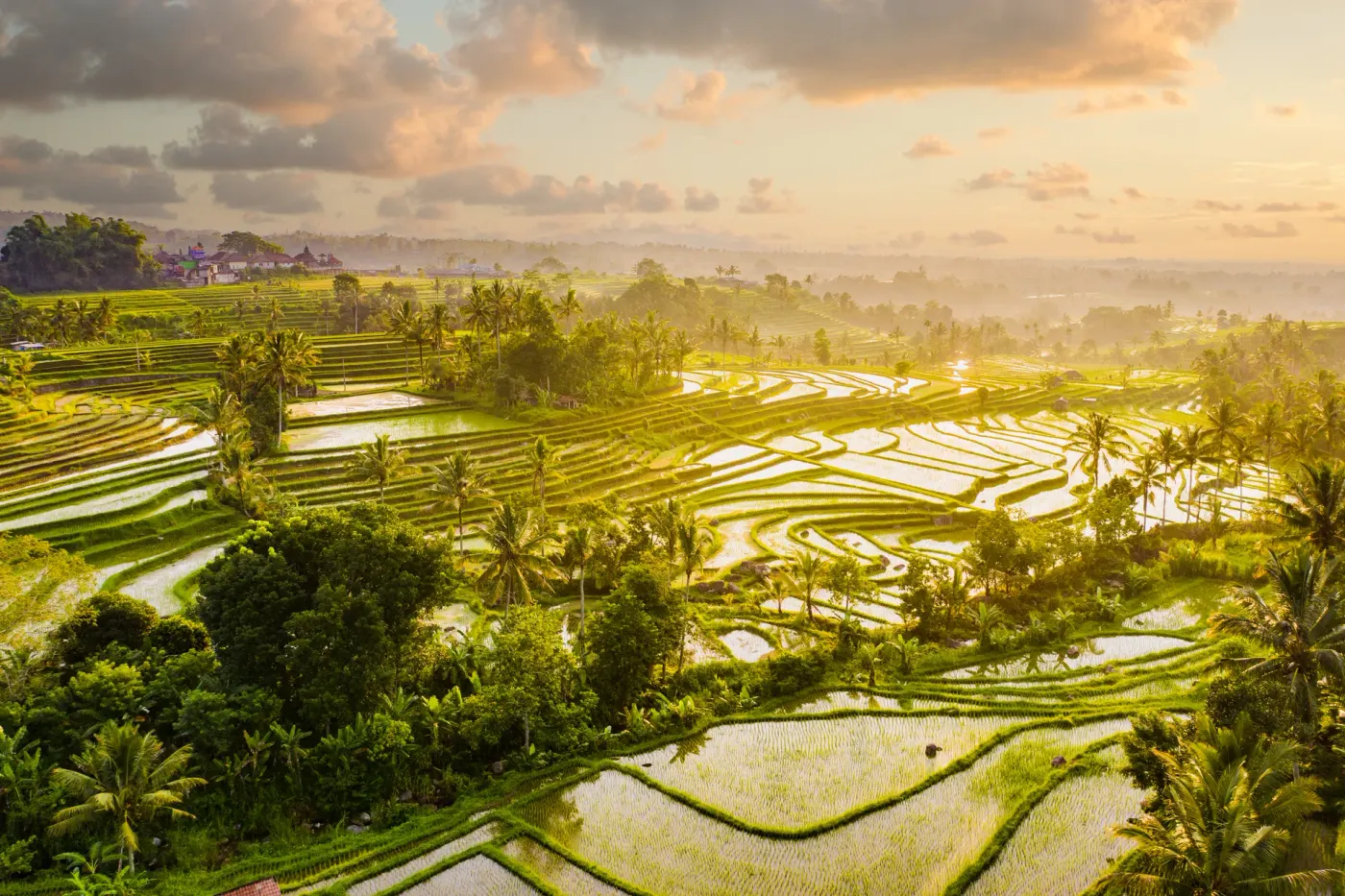 Jatiluwih Rice Terraces