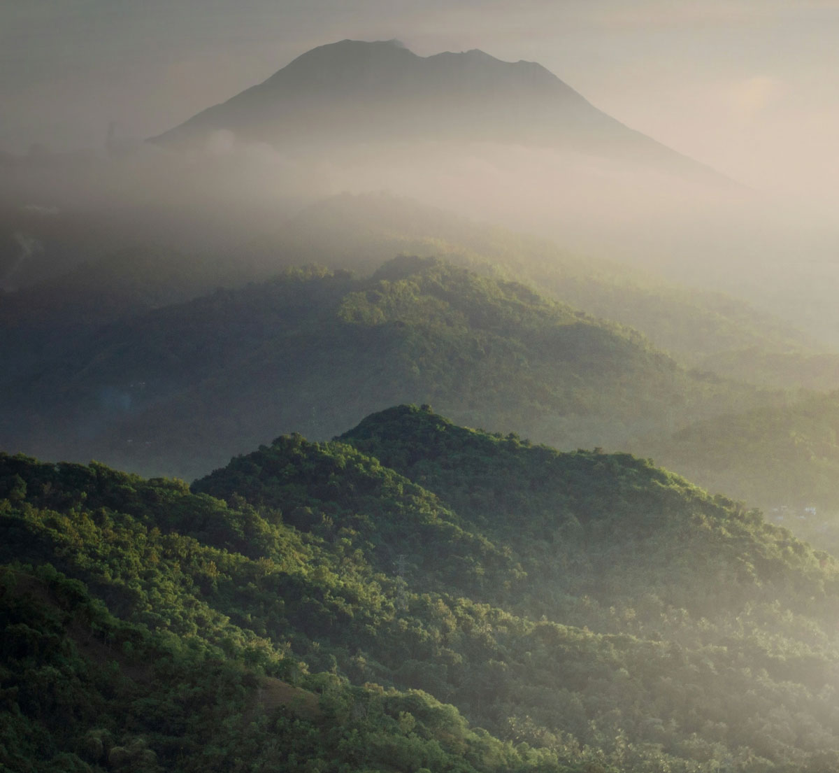 Green highlands around Bedugul, Bali