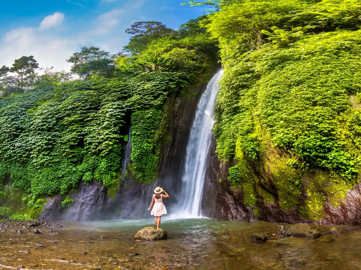 Git Git Waterfall